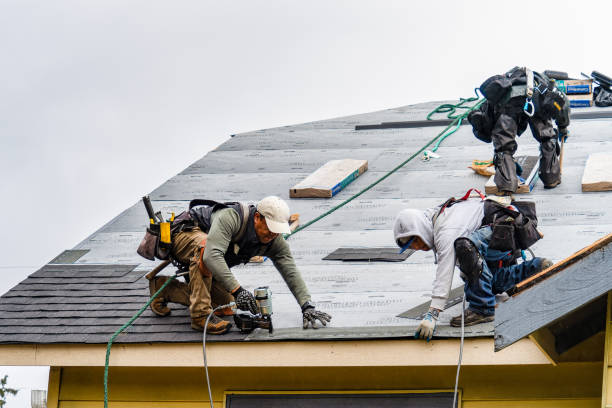 Professional Roof Installation technician working in Hamburg, MN